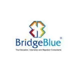 BridgeBlue Pakistan company icon