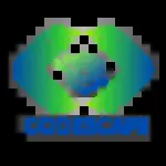 CodexCape Solutions company icon