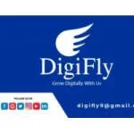 Digi Fly Experts company icon